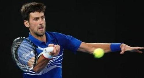 球场特点的 球场特点的