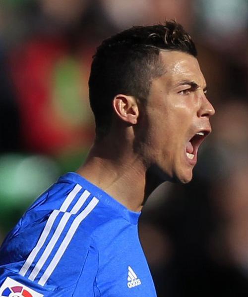 本次赛事涵 本次赛事涵