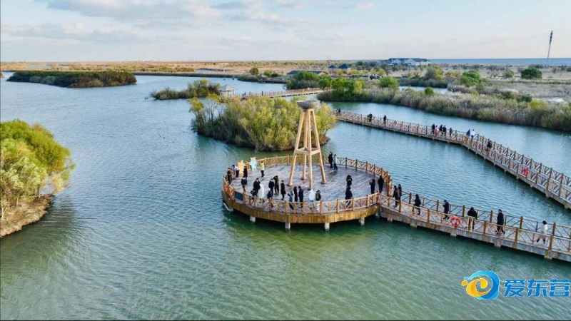 以控制与位 以控制与位